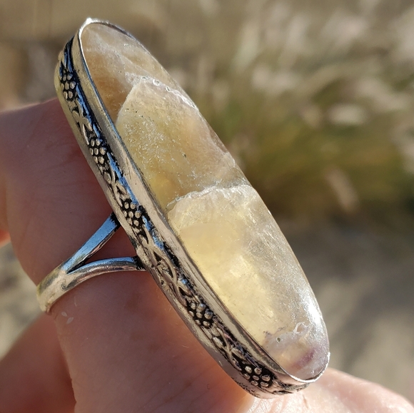New Petrified Wood Jasper Silver Statement Ring. - Picture 1 of 13